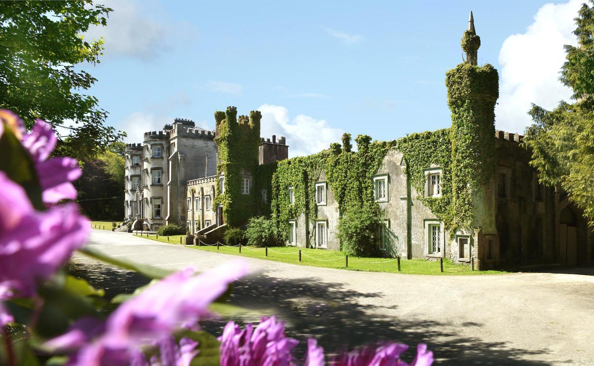 Ballyseede Castle ترالي المظهر الخارجي الصورة